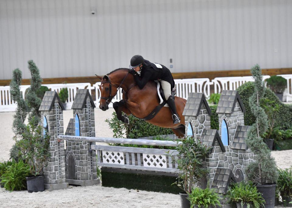 Cavalo e cavaleiro durante salto em competição no World Equestrian Center, Ocala